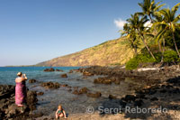 Platja a la badia de Kealakekua, Lloc on va morir el Capità Cook i Que Avui Una representació de les zones de Vida Marina alcalde, Excel lent paràgraf Practicar caiac, busseig i submarinisme. Illa Gran.